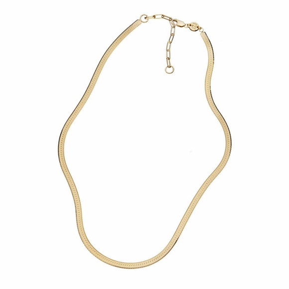 Jennifer Zeuner | 14K Hamilton Yellow Gold Plated Necklace - Picture 2 of 3